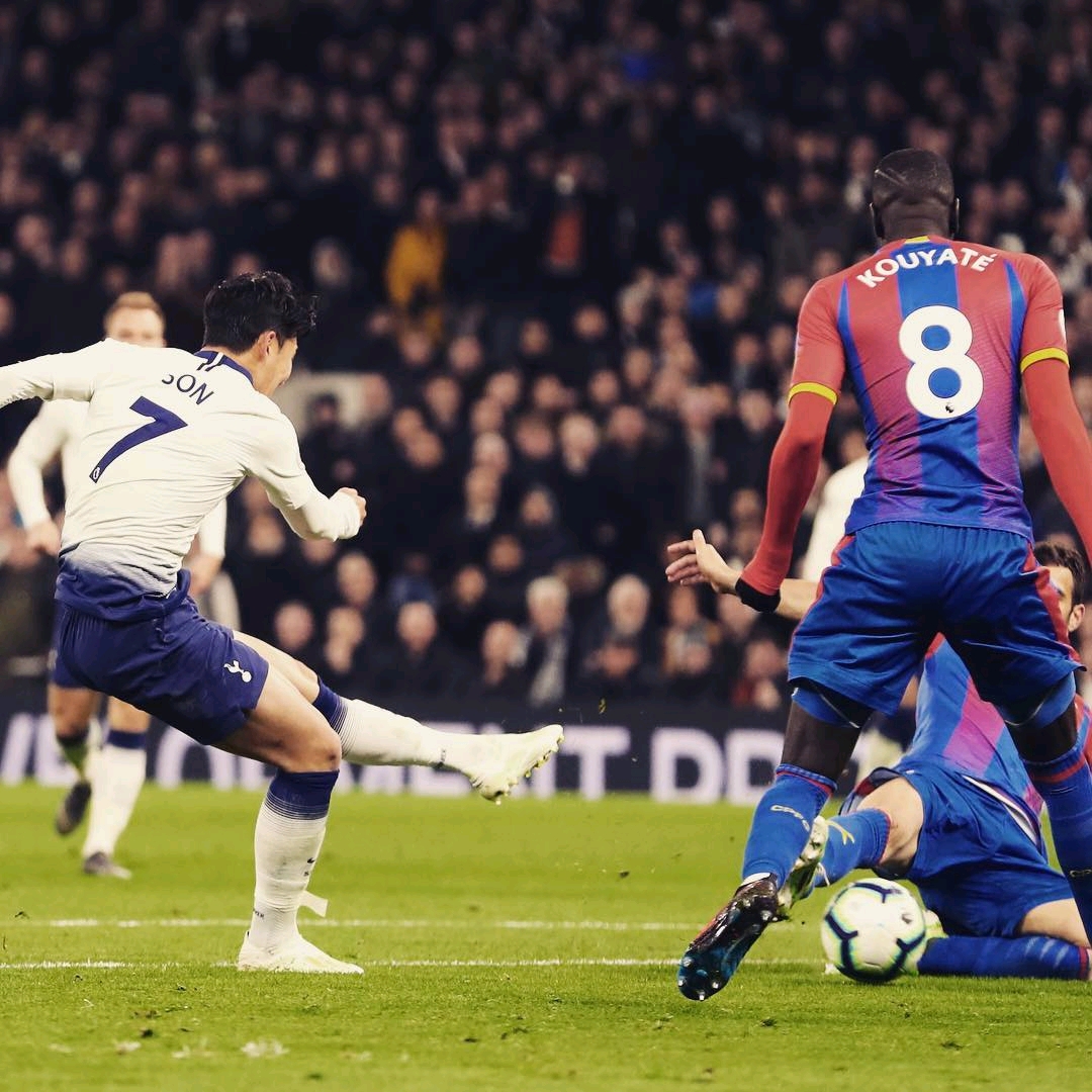 的长文战报 的长文战报